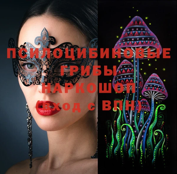 хмурый Алзамай