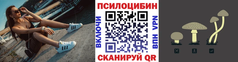 Галлюциногенные грибы мухоморы купить наркотик Ардон